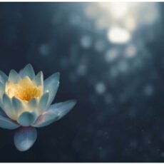 Guided Relaxation with Kerry